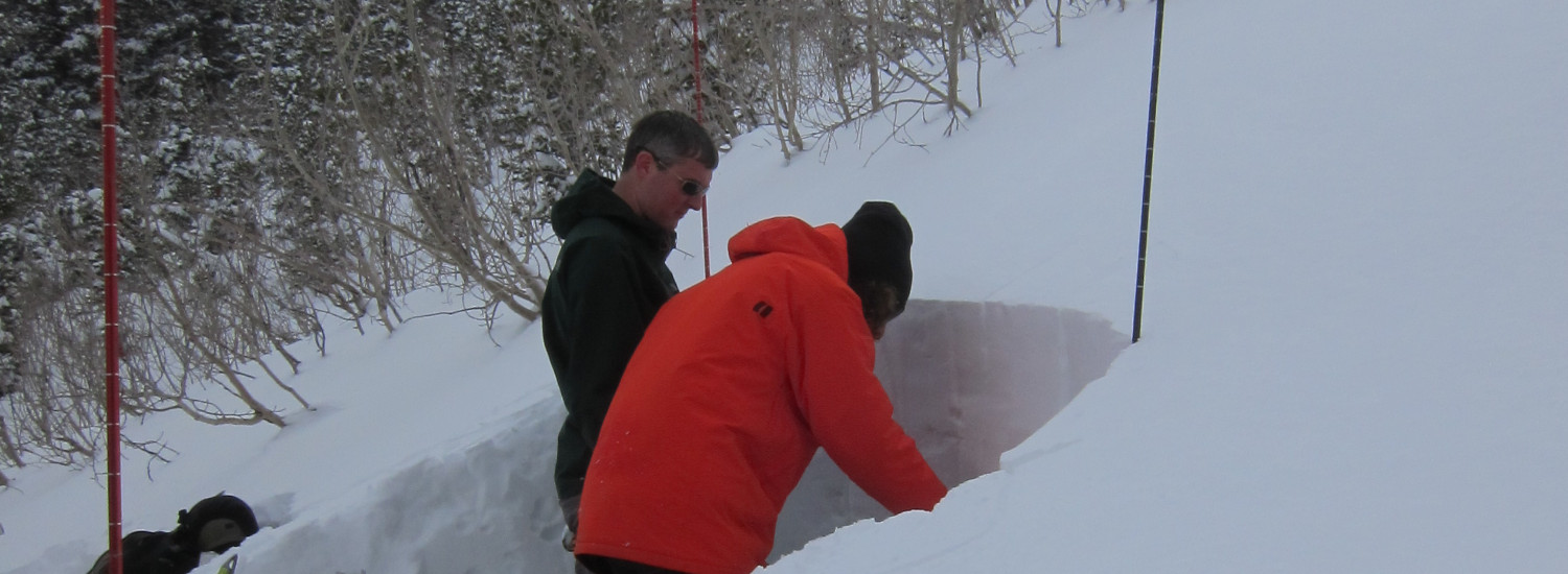 Digging snow pit profiles on an avalanche course