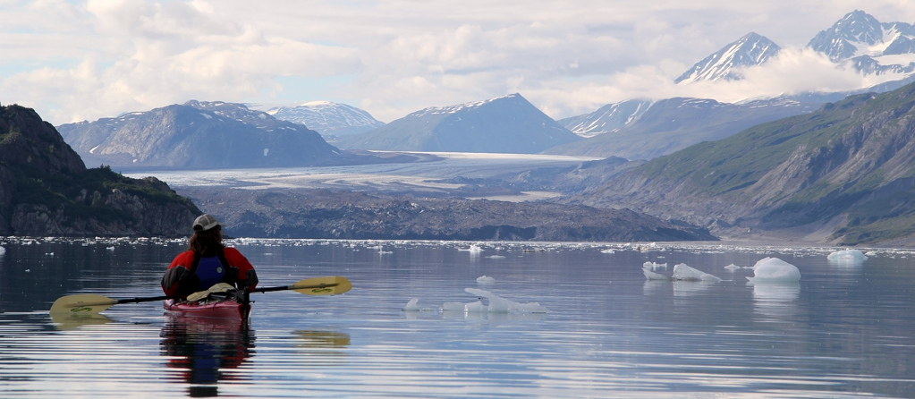Guide paddles on a calm day towards the Grand Pacific Glacier
