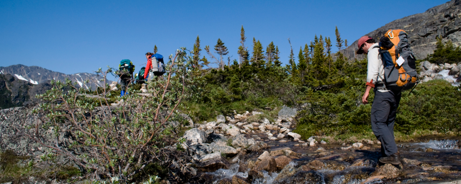 Hikers on the Chilkoot Trail enjoying a bluebird day crossing into Canada